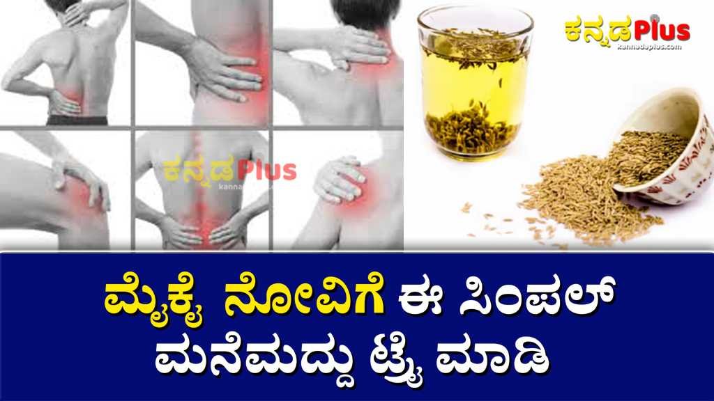 ಮೈಕೈ ನೋವಿಗೆ ಈ ಸಿಂಪಲ್ ಮನೆಮದ್ದು ಟ್ರೈ ಮಾಡಿ... Home Remedy for body Pain