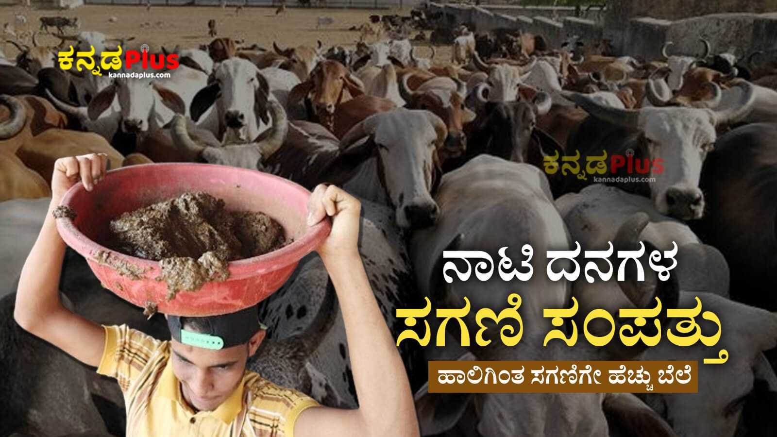 ನಾಟಿ ಹಸುಗಳ ಸಗಣಿಯಲ್ಲಿದೆ ಸಂಪತ್ತು | ಹಾಲಿಗಿಂತ ಸಗಣಿಗೇ ಹೆಚ್ಚು ಬೆಲೆ Importance of indian cattle dung