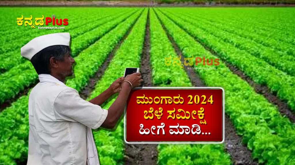 2024ರ ಮುಂಗಾರು ಬೆಳೆ ಸಮೀಕ್ಷೆ ಹೀಗೆ ಮಾಡಿ... Crop Survey for Monsoon 2024